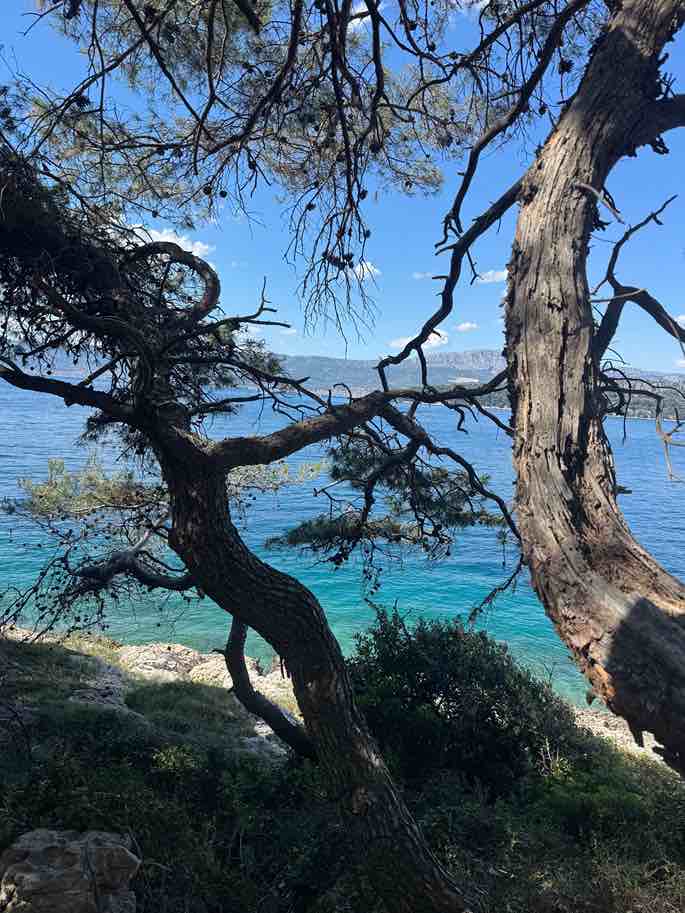 Solotravel in Kroatien am Meer