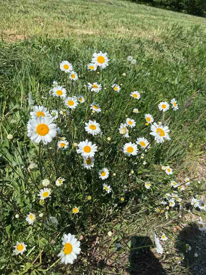 Travel Wanderung in Slowenien