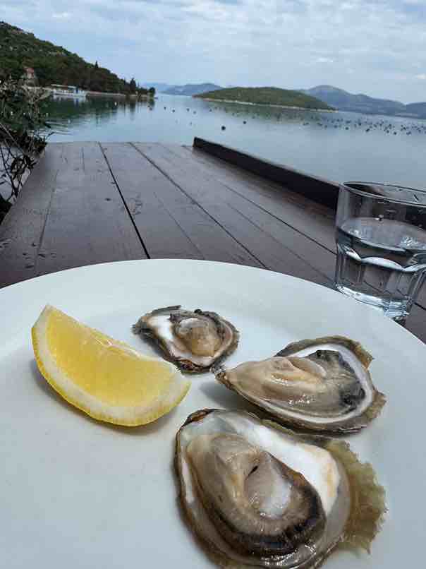 Kroatische Austern Kroatische Austern