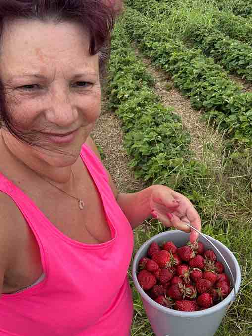 Petra Polk beim Erdbeeren pflücken