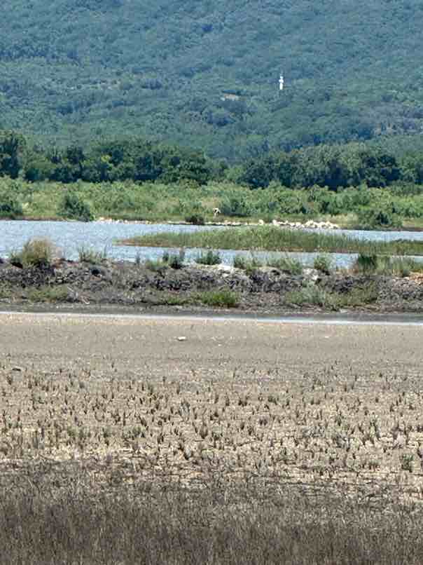 Solotravel Naturschutzgebiet Salina