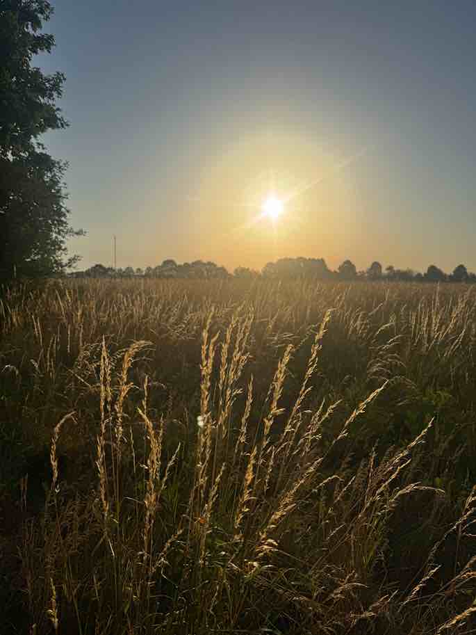 Sonnenuntergang am Abend